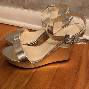 Silver wedges